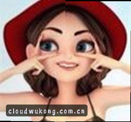 吴迪
